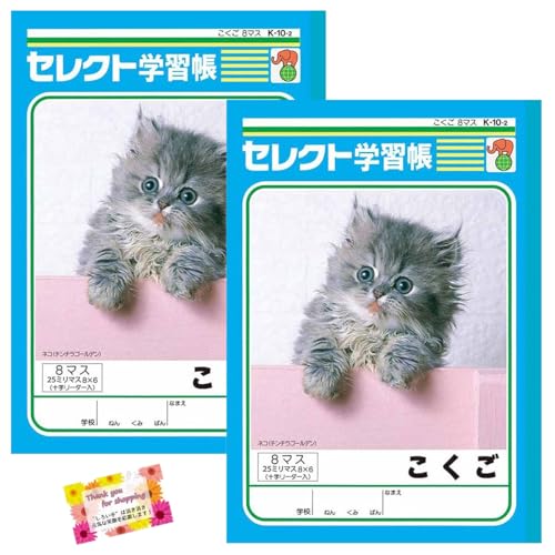 日本製 【使いやすい定番ノートです!】 学習帳 こくご ひらがな カタカナ 漢字練習 授業 学校 塾 小学校1〜3年生向け 十字リーダー 8マス 30枚 【2個セット】