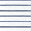 41 - Blue Stripes 2
