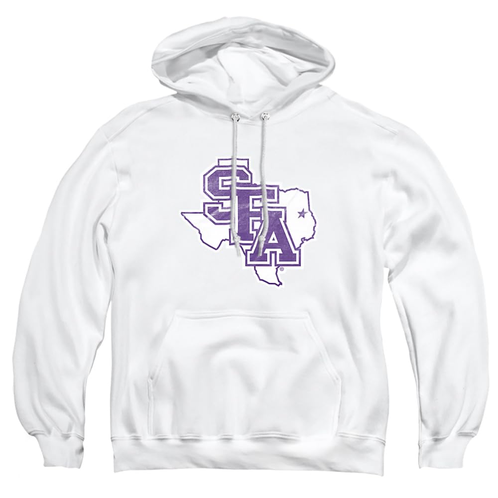 LOGOVISION Official Collegiate Distressed Primary Logo Adult Pullover Hoodie Collection — view 167