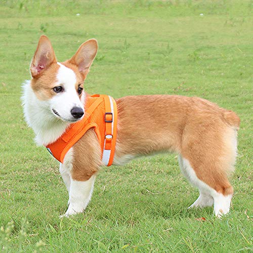 Image of FEimaX Dog Harness and Leash Set for Walking, Soft Mesh Adjustable Easy Control Lightweight Cat Vest Harnesses with Reflective Strips, Escape Proof Small Dogs Cats Vests (Orange, Large)
