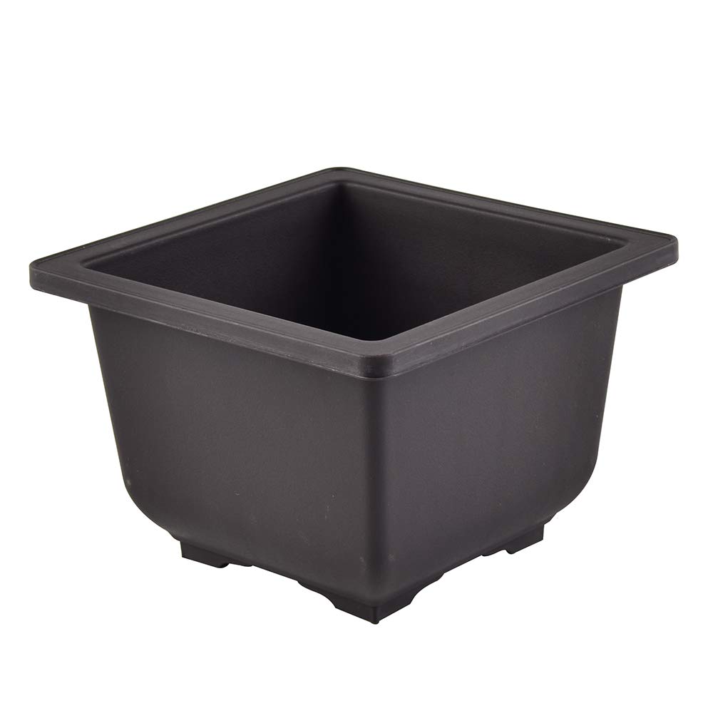 See full amazon price history chart for GREEN PARADISE® Bonsai Pots Square 14cm (L & W) x 9.5cm(H) (Brown) (Pack of 8) Ideal for Bonsai Trees,Succulents and adeniums GREEN PARADISE® Bonsai Pots Square 14cm (L & W) x 9.5cm(H) (Brown) (Pack of 8) Ideal for Bonsai Trees,Succulents and adeniums (B07ZR91XJW) Amazon Price History, Amazon Price Tracker