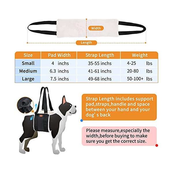 Dog Lift Support and Rehab Harness for Weak Rear Legs, Soft Sling Assist The Dog Who are Senior, Injured, Disabled and After ACL Surgery (Medium) Dog Lift Support and Rehab Harness for Weak Rear Legs, Soft Sling Assist The Dog Who are Senior, Injured, Disabled and After ACL Surgery (Medium)