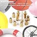 ZOEON 14pcs Adaptador para Bombas de Bicicleta Válvula Adaptador, DV AV SV...