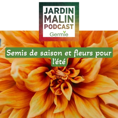 Semis de saison et fleurs pour l'&eacute;t&eacute;