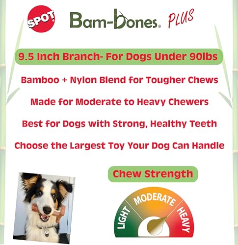 SPOT Bam-Bones Plus Branch -Bamboo Fiber & Nylon, Durable Long Lasting Dog Chew for Aggressive Chewers – Great Toy for Adult Dogs & Teething Puppies Under 90lbs, Non-Splintering, 9.5in, Beef Flavor