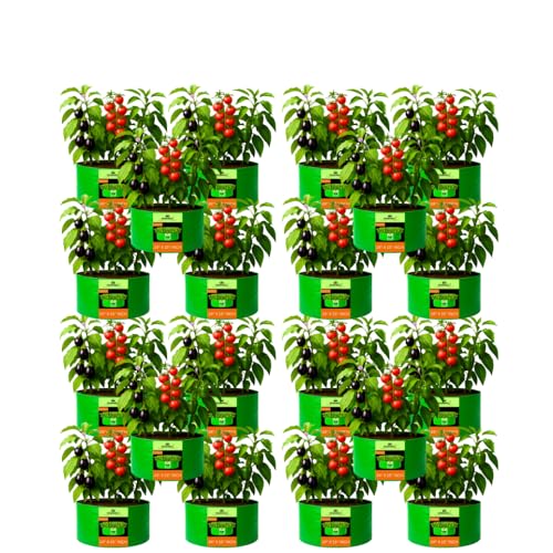Image of Kingwell Grow Bag 24 X 15 INCH, PACK OF 20 For Terrace Garden Leafy Vegetable Plant Grow Bags Fruits Growing Containers For terrece Gardening (24 X 15 INCH, PACK OF 20)