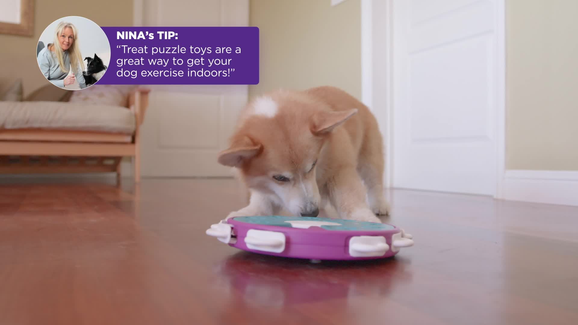 dog twister interactive game