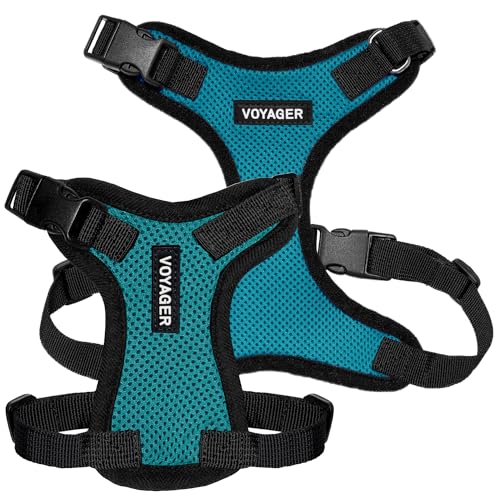 Image of Voyager Step-in Pet Harness - All Weather Mesh, Adjustable Step in Harness for Cats and Dogs by Best Pet Supplies - Turquoise /Black Trim, L