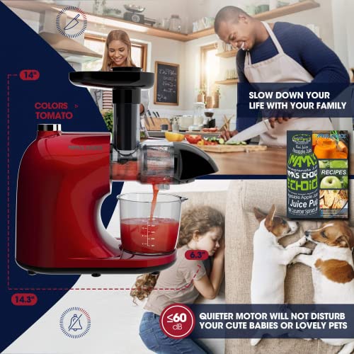 Mama's Choice Slow Masticating Juicer, Juicer Machines For Friut And Vegetable, Cold Press Juicer Extractor With Total Pulp Control, Quiet Motor, Reverse Function, Brush And Recipes #TOP4