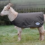  Weatherbeeta Manteau de chèvre,, Mixte, gris, XXX-Large
