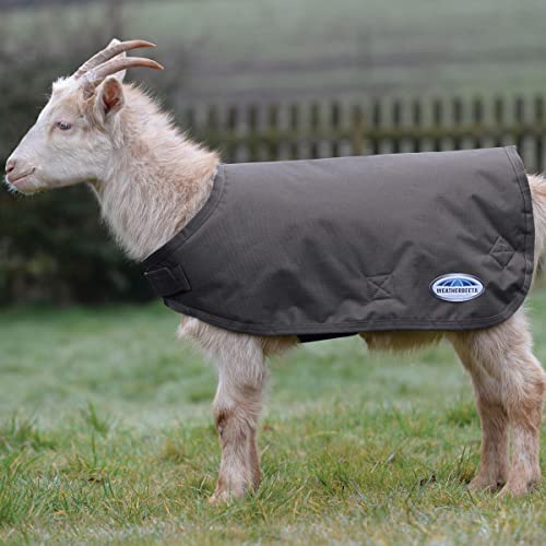 Manteau de chèvre imperméable Weatherbeeta gris XXXL vêtement de protection caprin élevage