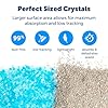 PetSafe ScoopFree Premium Crystal Cat Litter - Outperforms Clay Litter - Refill Packs - Reusable Tray Compatible - Fresh Scent - 4.3 lb Bags - 2 Pack #2