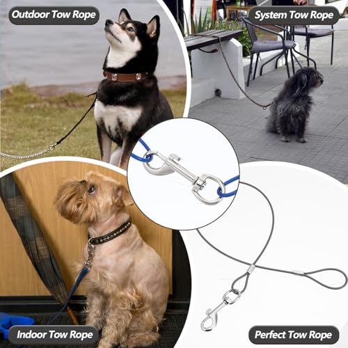 3 Stück Bissfeste Hausleine für Hunde, Hundeleine Verlängerungsseil, Kausichere Hundeleinen, Kausicherfest Hundekette Metall Kabel Leine für Kleine Mittelgroße Hunde (65 cm, Schwarz/Blau/Transparent)