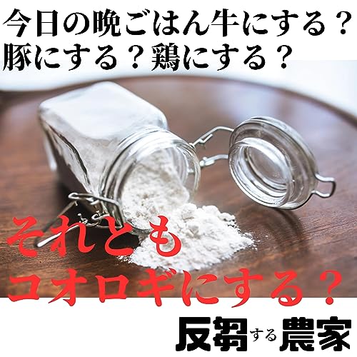 #19コオロギ検討会