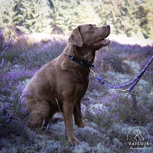 Tailoir Hundeleine 2m geflochten - Leine Hund, Mittelgroße - Große Hunde, Leine verstellbar, Hundeleinen, Dog Leash Führleine, Bissfeste Hundeleine zum Umhängen, Trainingsleine, Freihandleine Paracord