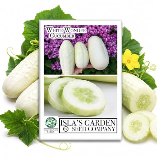 White Wonder Cucumber Seeds – 50+ Heirloom Non-GMO Seeds by Isla’s Garden Seeds, Crisp & Mild Flavor, High-Yield Variety, Perfect for Home Gardens, Easy to Grow, Great for Fresh Eating & Pickling