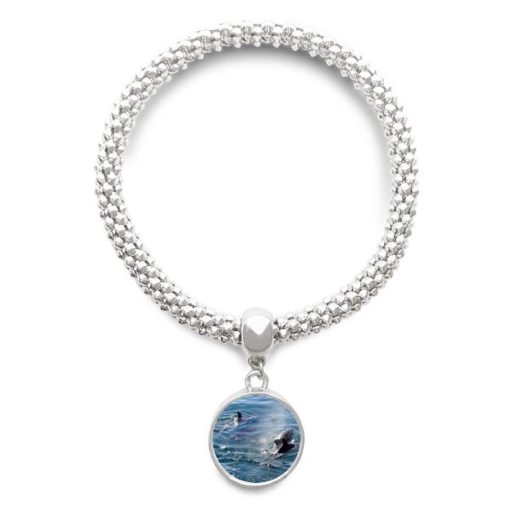 Chaîne de bijoux épaulard avec médaillon rond argenté brillant - 4