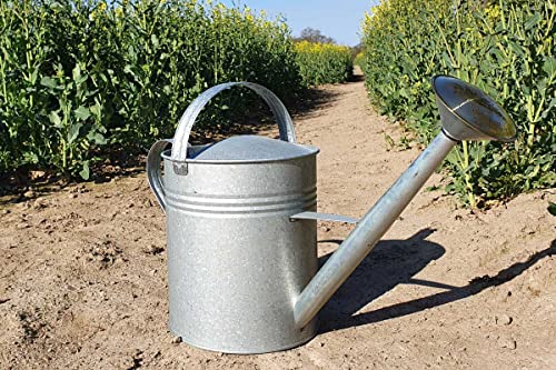 KUHEIGA Gießkanne Metall 10L versch. Farben Metall Zinkkanne Zinkgießkanne - AntikZink