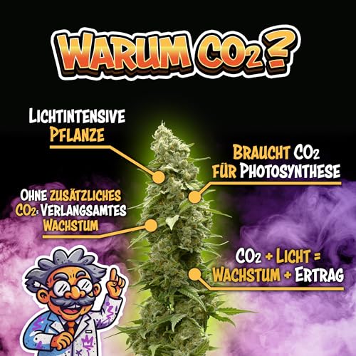 Niello® Reflector 50W LED Pflanzenlampe, LED Grow Light Vollspektrum Pflanzenlicht Led Grow Lampe nur 1 cm Dick mit Schalter für Zimmerpflanzen Gemüse und Blumen 5 Niello® Reflector 50W LED Pflanzenlampe, LED Grow Light Vollspektrum Pflanzenlicht Led Grow Lampe nur 1 cm Dick mit Schalter für Zimmerpflanzen Gemüse und Blumen – Bild 5