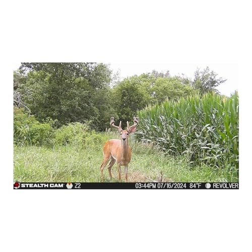 Stealth Cam Revolver Pro 2.0 Trail Camera with Solar Battery Pack - 360-Degree Detection, 100ft Range with Built-in 32GB Storage - Thumbnail 4