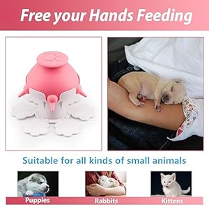 Puppy-Bottles-for-Nursingkitten-bottleRabbit-baby-bottlewhelping-suppliesPuppy-Milk-feeders-for-Multiple-Puppies-NipplePuppy-Feeder-Milk-BowlCapacity-250mlPink - Cucciolini Doodles   Puppy-Bottles-for-Nursingkitten-bottleRabbit-baby-bottlewhelping-suppliesPuppy-Milk-feeders-for-Multiple-Puppies-NipplePuppy-Feeder-Milk-BowlCapacity-250mlPink