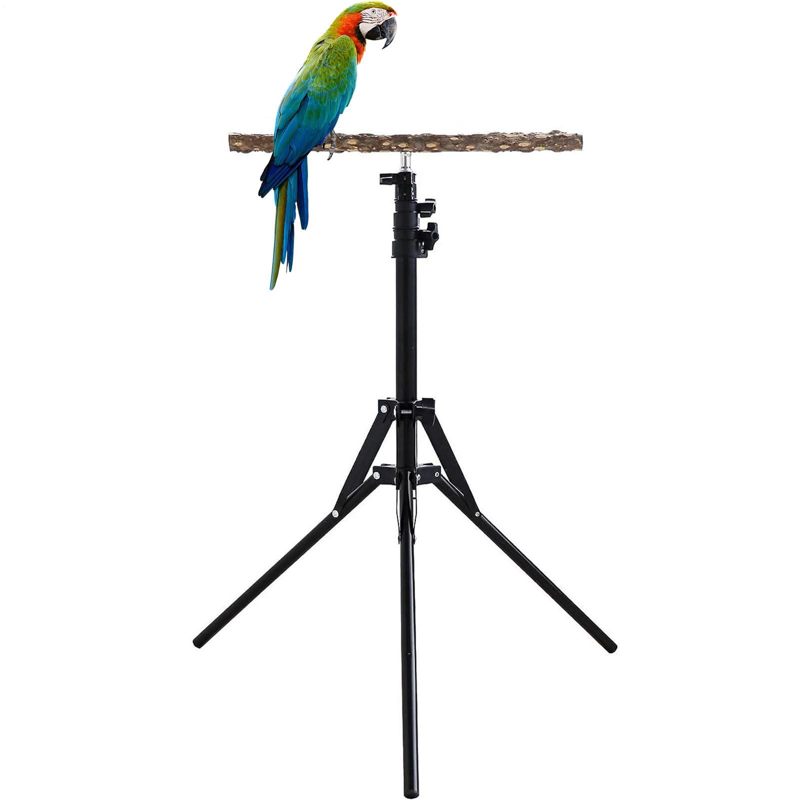 Adjustable Bird Perches 15.74 - 61.81 Inch Height Adjustable Parrot Stand for Large Birds, Rest Stand of Bird Training Bird Perches. Choose between 15.74 and 61.81 Inches for Ideal
