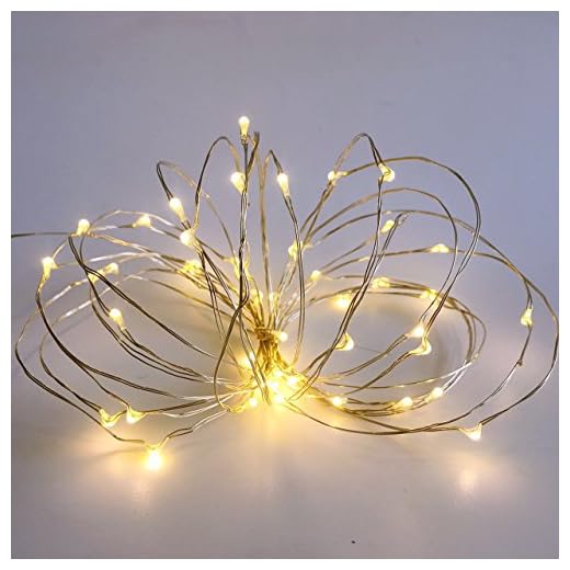 2 Pack 50 Count Mini Led Fairy Lights,Battery Operated Led String Light with Waterproof Battery Box and Timer 6Hours on/18Hours Off for Indoor/Outdoor Wedding Centerpiece Party Decoration(Warm White)