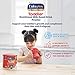 Enfagrow Toddler Next Step, Vanilla Flavor - Powder Can, 24 oz