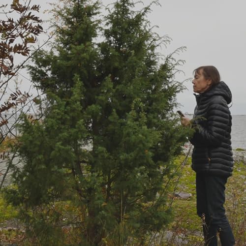 With the Juniper in Suomenlinna-10