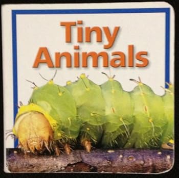 Board book Tiny Animals Book