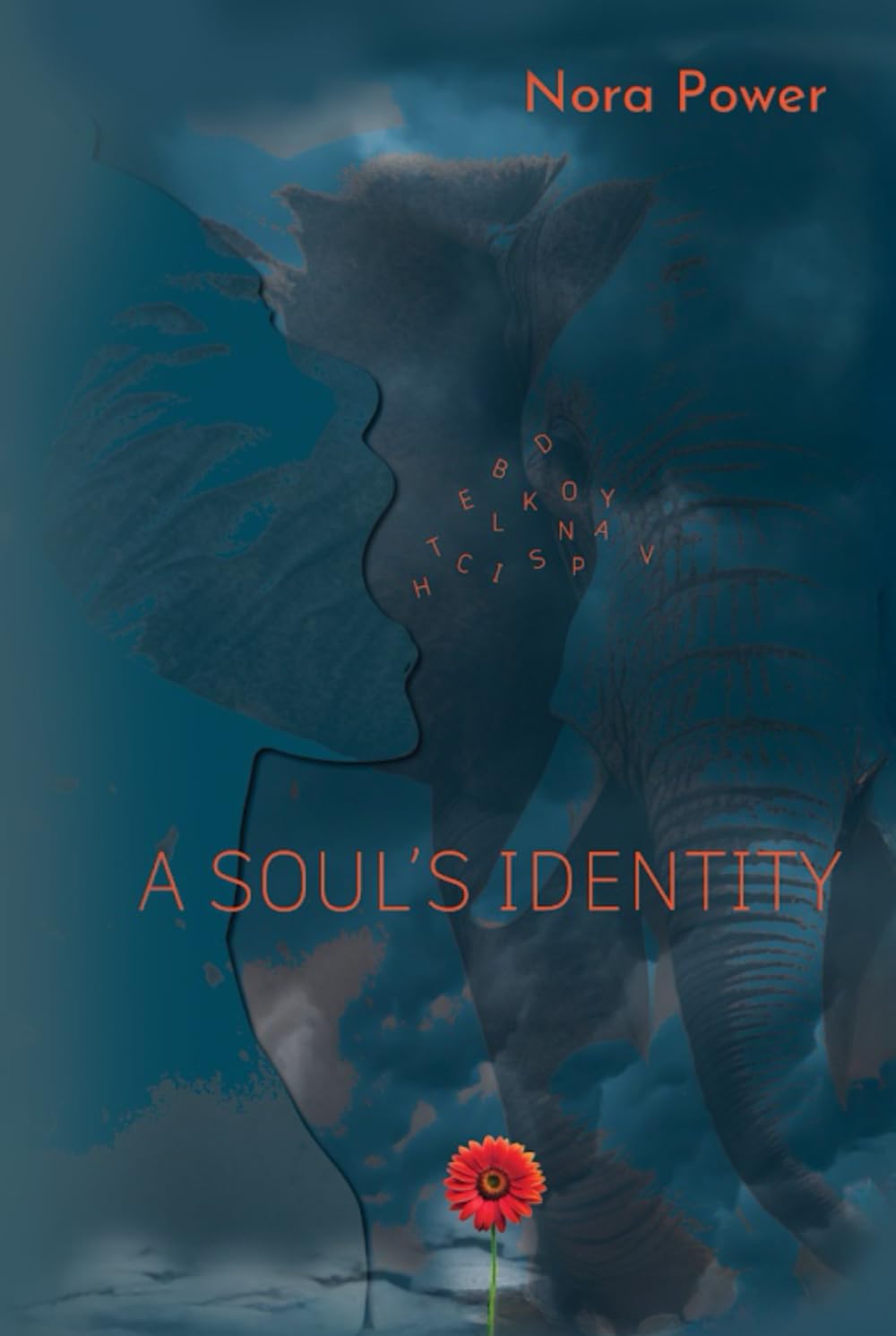 A Soul's Identity