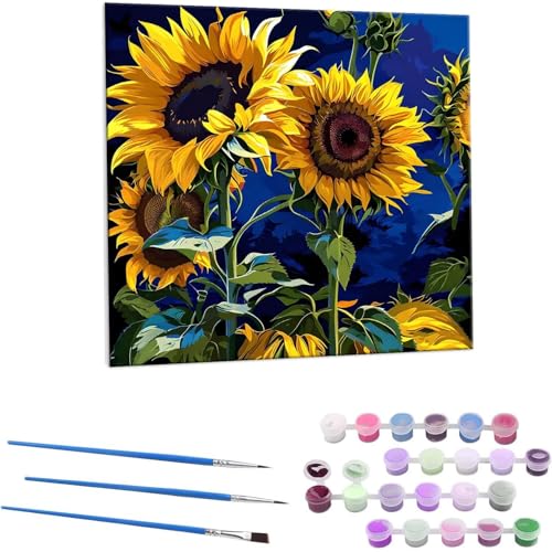 Ђ܂ G Paint by Numbers hG Lbg l ʂ肦 lphGLoXNtg  LoXA[g uVƃANG̋, ItBX CeA rO, ւ̃Mtg 30x30cm (t[