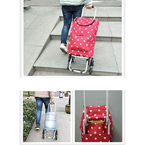 Tragbarer Einkaufswagen, 2/3 Räder, leicht, faltbar, flippig, Musik, Festival, Einkaufstrolley, Gepäcktasche… – Bild 7