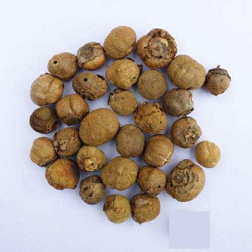 EasySeeds™ Sagwan, Teakwood, Sagun, Tekku, Teak, Tectona Grandis Seed Pack of 200 Seeds (B0B6T3SKV6) Amazon Price History, Amazon Price Tracker