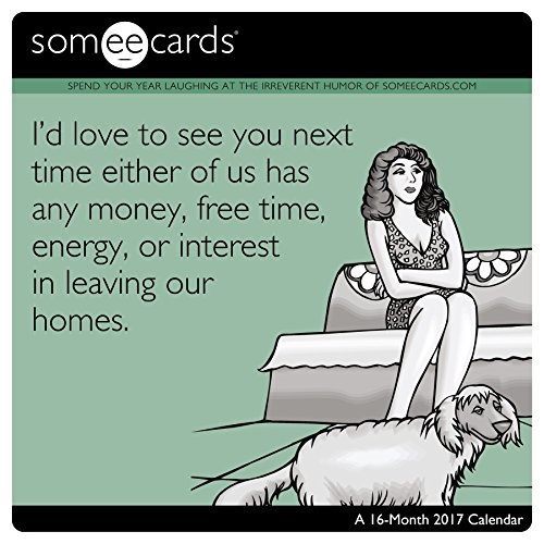 Someecards Wall Calendar (2017)