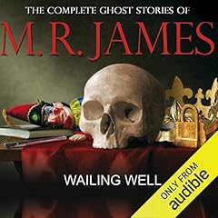 Couverture de Wailing Well