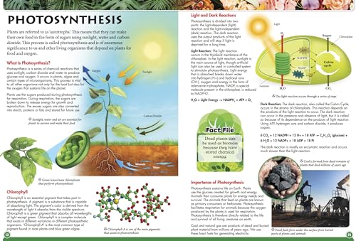 Wonders of Learning - Discover Botany 1786906937 Book Cover