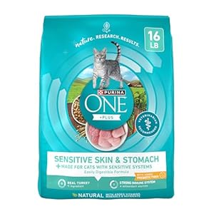 Purina ONE Sensitive Stomach, Sensitive Skin, Natural Dry Cat Food, +Plus Sensitive Skin and Stomach Formula – 16 lb. Bag