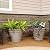 Sunnydaze 20-Inch Franklin Large Plant Pot - Polyresin Round Outdoor Planter with Drillable Drainage Hole - 4 Pack - Beige