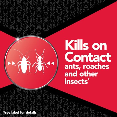 Image of Raid MAX Ant & Roach Killer Spray, Kills on Contact, Keeps Killing for up to 6 Months, 14.5 oz