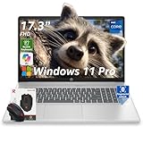 HP 17.3 Business Laptop, Intel 10-Core i5 1334U (Beats i7-1255u), 17" FHD(1920 x 1080) 250Nits Display, Backlit Keyboard, Fingerprint Reader, Windows 11 Pro, Accessory Kit (32GB RAM | 1TB SSD)