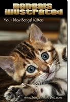 Bengals Illustrated Your New Bengal Kitten 1936522020 Book Cover