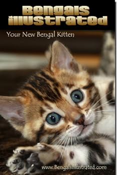 Bengals Illustrated Your New Bengal Kitten