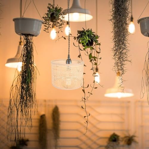 Image of UKCOCO Woven Rattan Lamp Shade Pendant Light Shade Replacement Rustic Boho Hanging Lamp Cover Soft Light Diffuser for Floor Lamps 6.29 X 6.29 X 4.72 in 2 pack