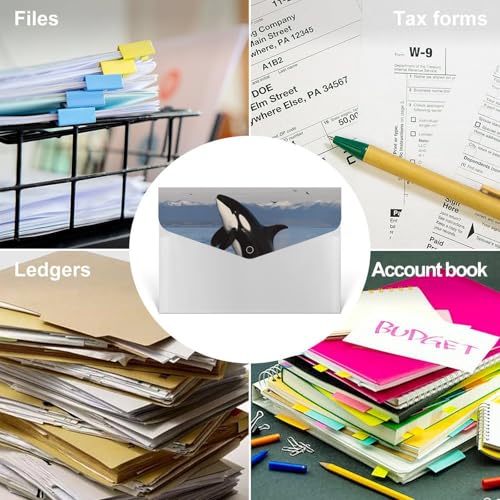 Porte-documents 6 compartiments Killer Whale trieur robuste pour organiser vos CV