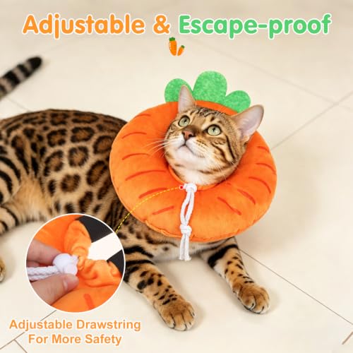 Image of BEAUTYZOO Cat Cone Collars Soft, Cat Donut Recovery E Collar After Surgery | Kitten Neck Pillow to Stop Licking, Plush for Wound Healing, Adjustable Elizabeth Cone for Small Dogs, Orange Carrot S