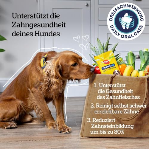 PEDIGREE DentaStix Hundesnack für kleine Hunde (5-10kg), Zahnpflege-Snack mit Huhn und Rind, 1 Packung je 56 Stück (1 x 880 g)