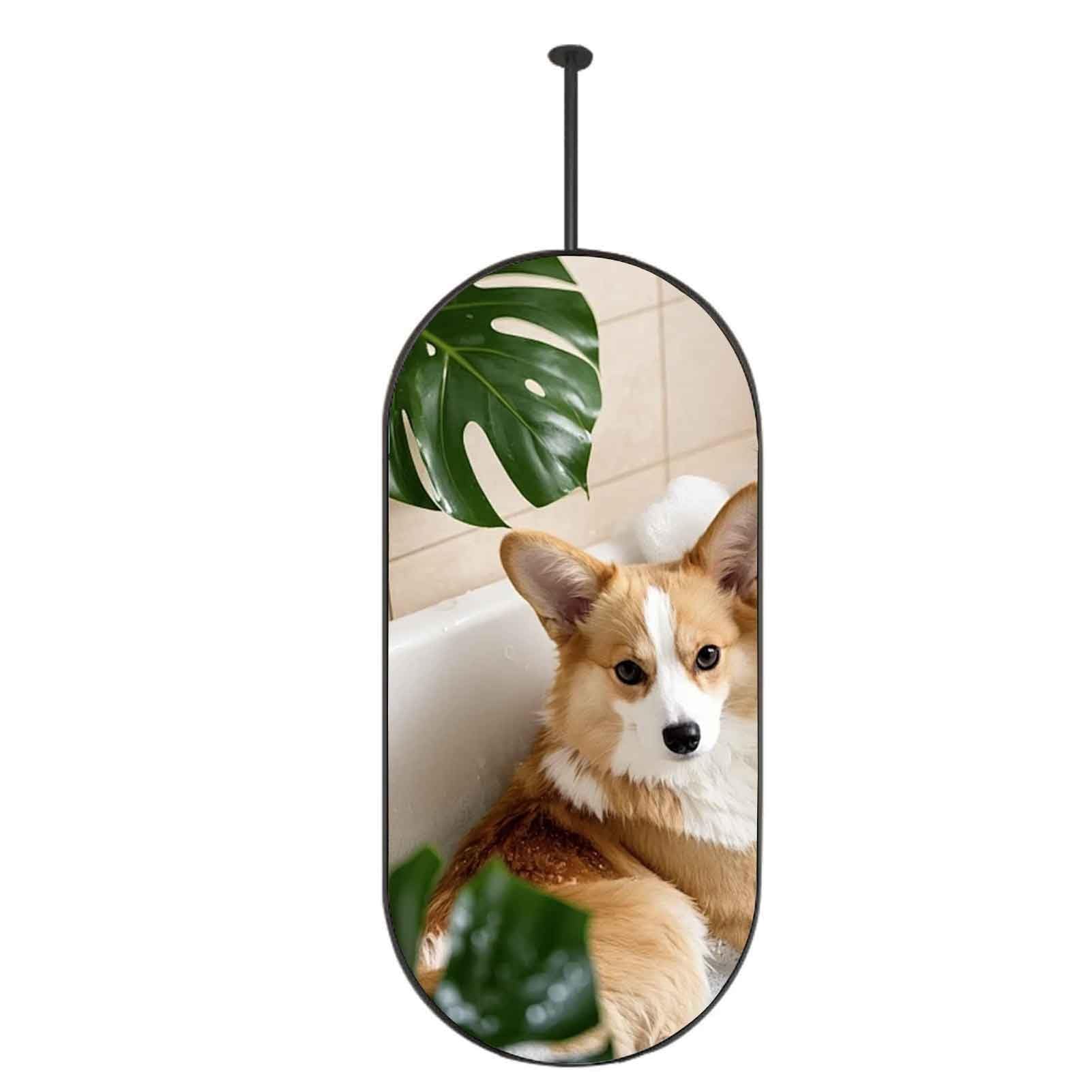 FGXHHS Ceiling Hanging Mirror, Suspended Bathroom Mounted Black Metal Oval Frame Vanity Makeup Mirrors(40cmx70cm)