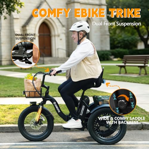 Ligood T300 Folding Electric Tricycle