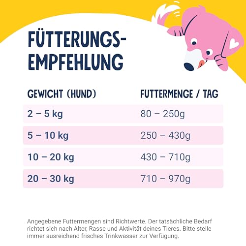 Ansicht 7